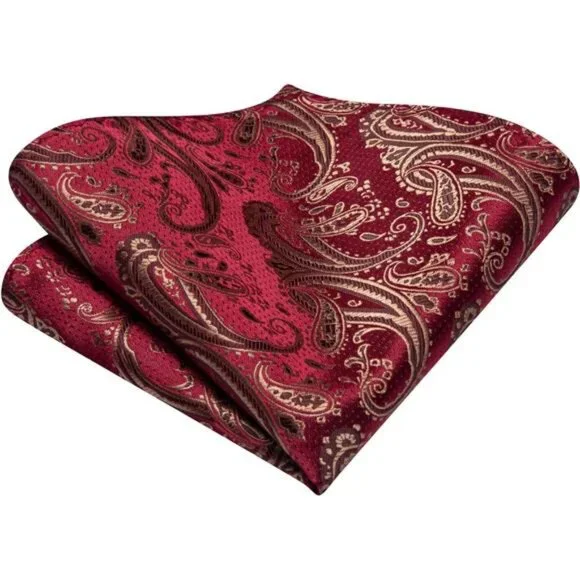 Silk Paisley Ties for Men Necktie Pocket Square Cufflinks Set Foral Tie Sets - Picture 6 of 7